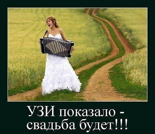 УЗИ показало свадьба будет