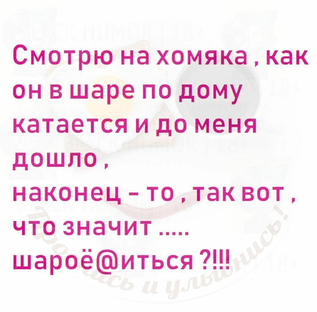 Смотрю на хомяка как он в шаре по дому катается и до меня дошло наконец то так вот чтозначит шароёиться