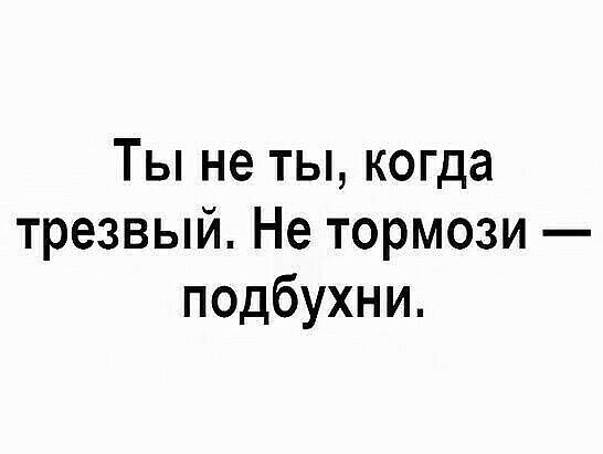 Ты не ты когда трезвый Не тормози подбухни