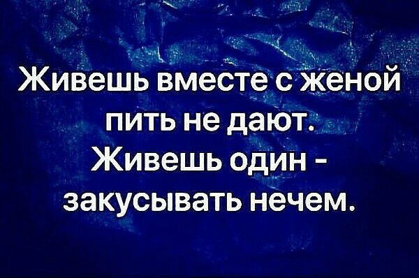 Живешь вмест с ж н0й пИть не дают Живешь одИН закусывать нечем