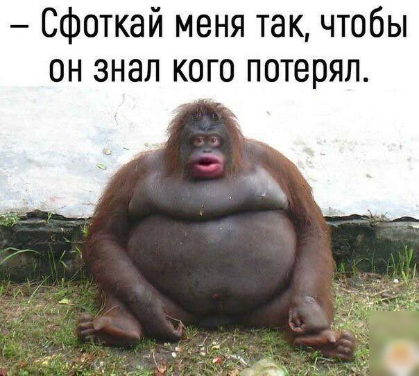 Сфоткай меня так чтобы он знал кого потерял