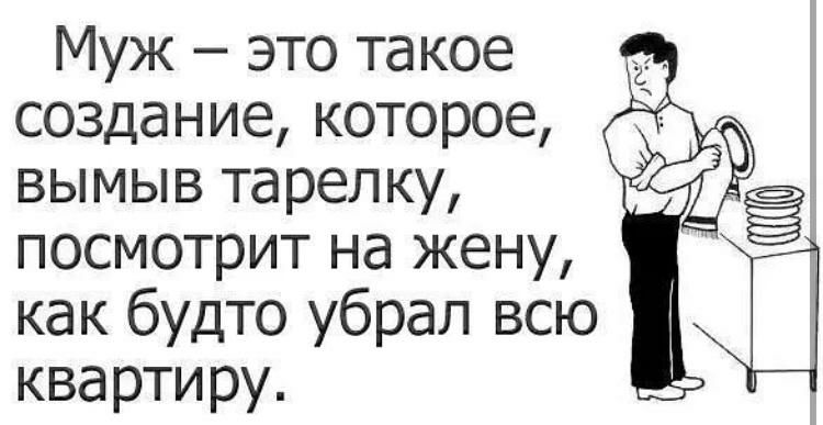 Муж это такое создание которое вымыв тарелку посмотрит на жену как будто убрал всю квартиру