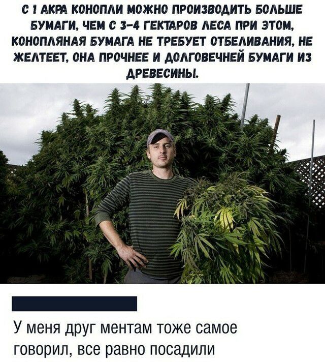 с АКРА КОНОПАИ МОЖНО ПРОИЗВОДИТЬ БОЛЬШЕ БУМАГИ ЧЕМ с 3 4 ГЕКТАРОВ ЛЕСА ПРИ ЭТОМ КОНОПЛЯНАЯ БУМАГА НЕ ТРЕБУЕТ ОТБЕАИВАНИЯ НЕ ЖЕЛТЕЕТ ОНА ПРОЧНЕЕ И АОЛГОВЕЧНЕИ БУМАГИ ИЗ ДРЕВЕСИНЫ У меня друг ментам тоже самое говорил все равно посадили
