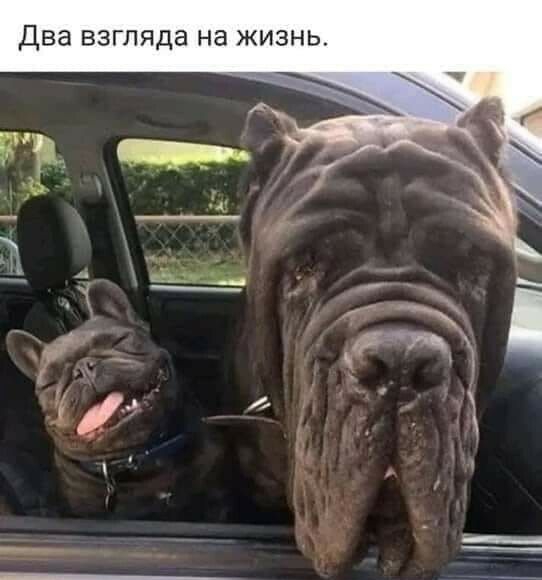 Два ВЗГЛЯДЭ НЭ ЖИЗНЬ