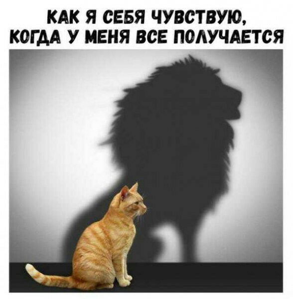 КАК Я СЕБЯ ЧУВСТВУЮ КОГДА У МЕНЯ ВСЕ ПОЛУЧАЕТСЯ