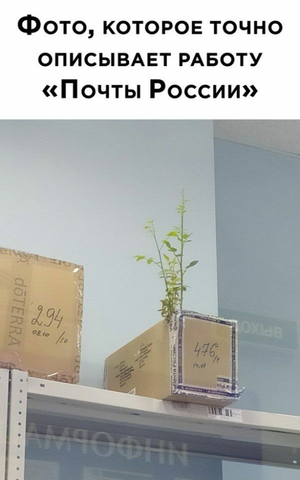 Фото которое точно описывмзт РАБОТУ Почты России
