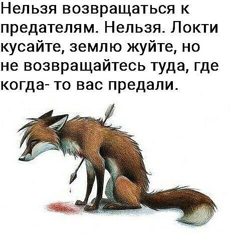 Нельзя возвращаться к предателям Нельзя Локти кусайте землю жуйте но не возвращайтесь туда где когда то вас предали