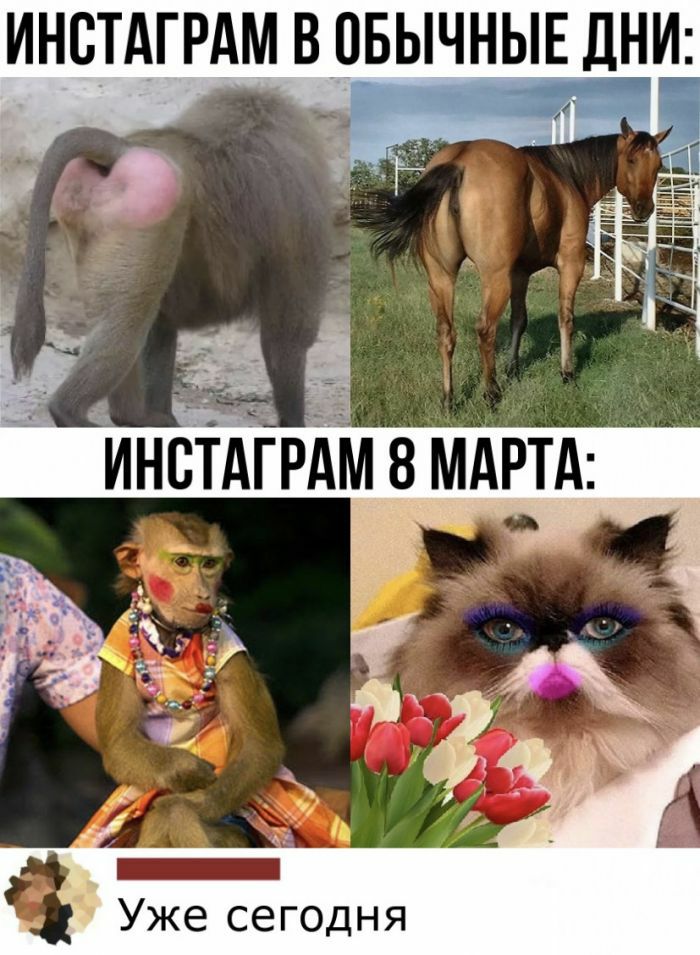 ИНСТАГРАМ В ПБЫЧНЫЕ ДНИ стдгрдм 8 МАРТА