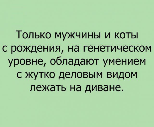 Только мужчины и коты с рождения на генетическом уровне обладают умением с жутко деловым видом лежать на диване