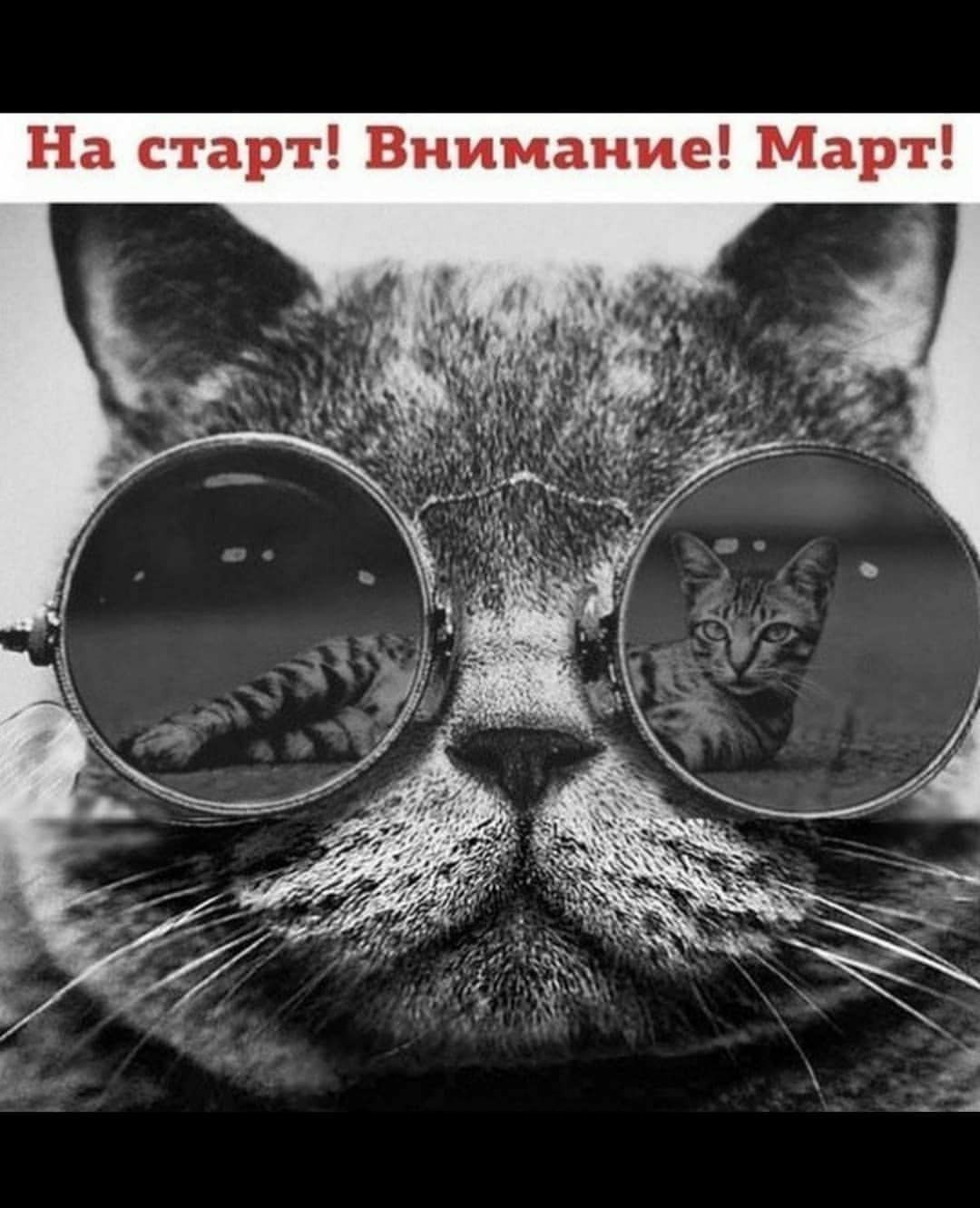 На старт Внимание Март