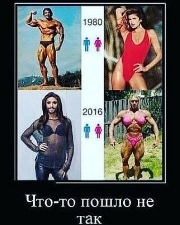 Что то пошло не так