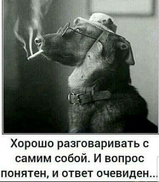 Хорошо разговаривать с самим собой И вопрос понятен и ответ очевиден