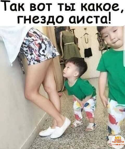 Так вот ты какое гнездо аистц