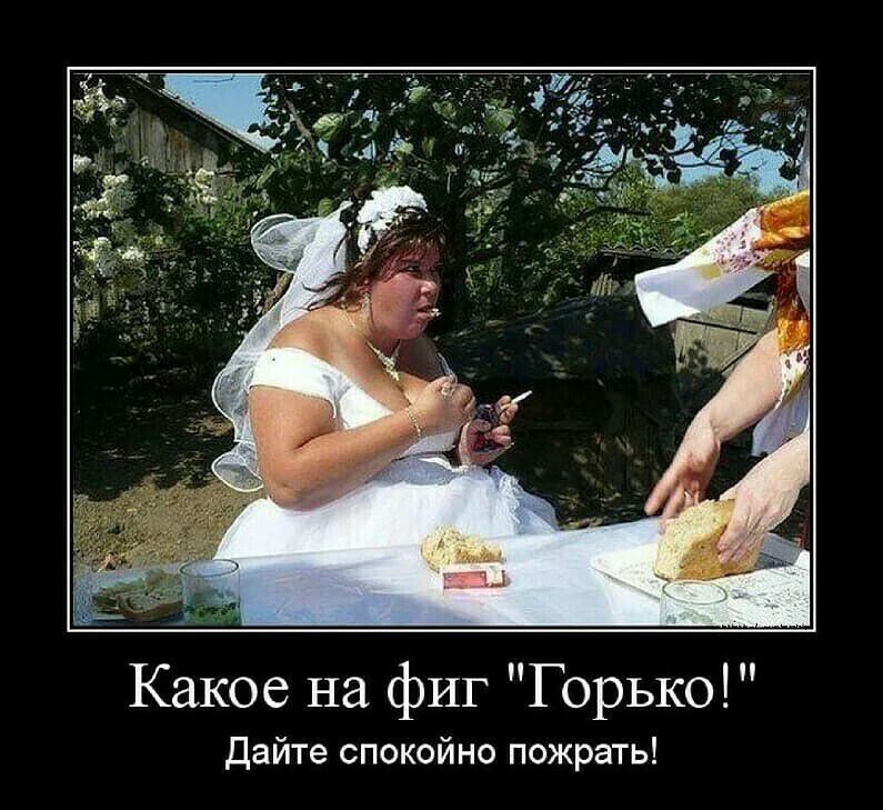 Какое на фиг Горько Дайте спокойно пожрать