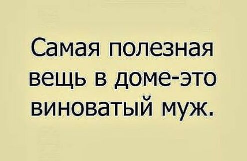 Самая полезная вещь в доме это виноватый муж