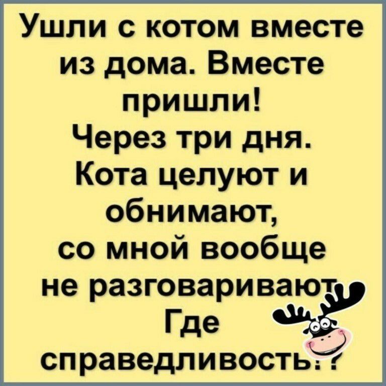 Ушли с котом вместе из дома Вместе пришли Через три дня Кота целуют и обнимают со мной вообще не разговаривают Где ёё справедливость