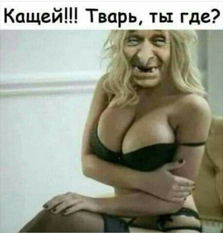 Кащей Тварь К ты где
