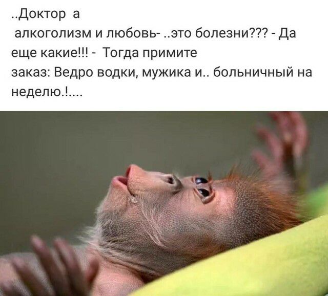Доктор а алкоголизм и любовь это болезни да еще какие Тогда примите заказ Ведро водки мужика и больничный на неделю