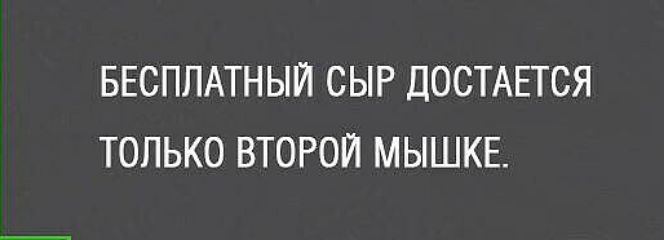 БЕСПЛАТНЫЙ СЫР ДОСТАЕТСЯ ТОЛЬКО ВТОРОЙ МЫШКЕ