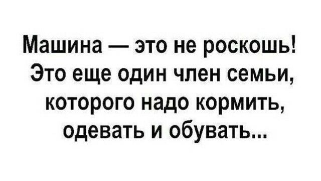 Машина это не роскошь Это еще один член семьи которого надо кормить одевать и обувать