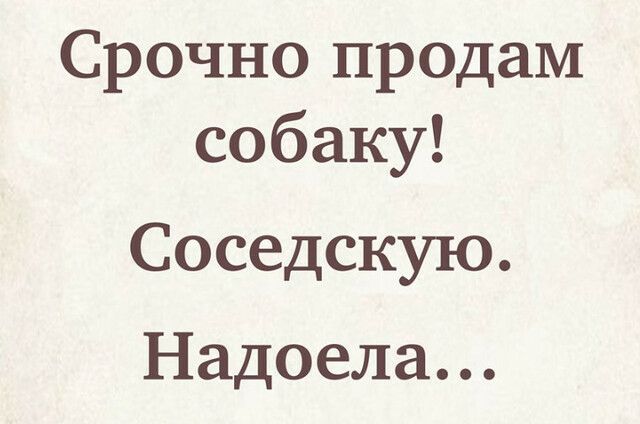 Срочно продам собаку Соседскую Надоела