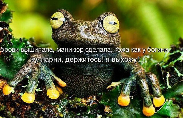 и А щипапаманикюрркд апа ни де ржитёё