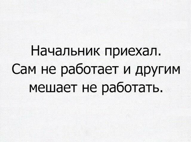 Начальник приехал Сам не работает и другим мешает не работать
