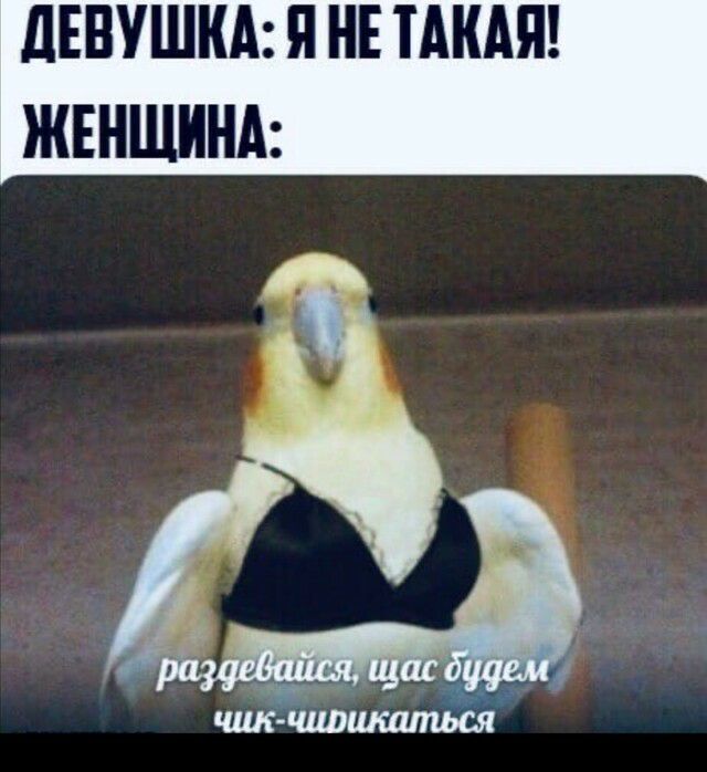 ЛЕБУШНА Я НЕ ТАНАЯ ЖЕНЩИНА