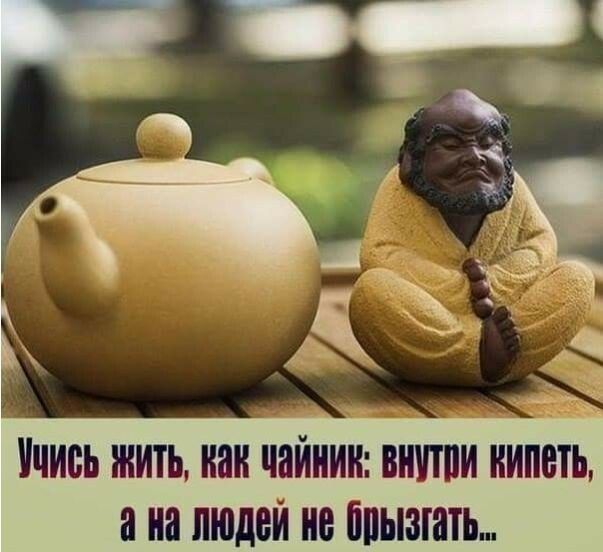Учись жить как чайник нити кипеть а на людей не бпызгать