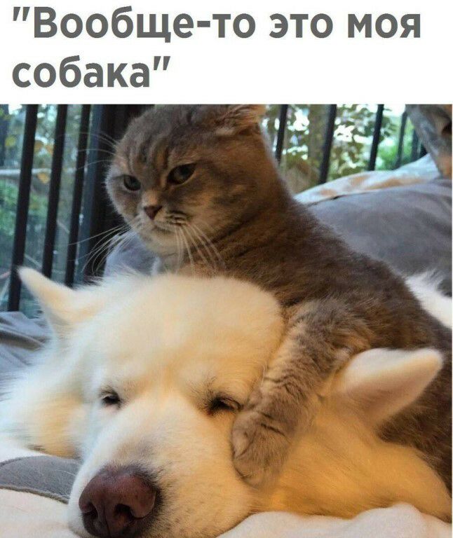 Вообще то это моя