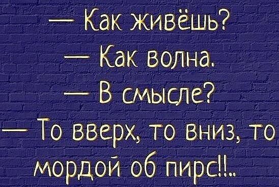 Как живёшь Какволна _ В смысле То вверх то вниз то мордой об пирс