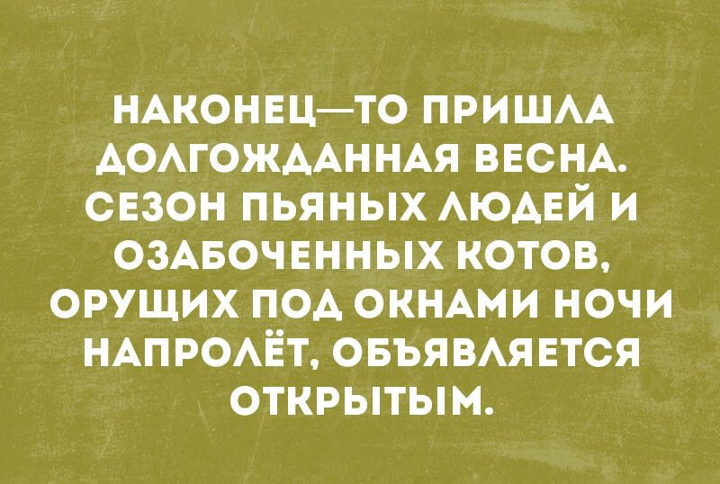 НАКОНЕЦТО ПРИШАА АОАГОЖААННАЯ ВЕСНА свзон пьяных АЮАЕЙ и озмзочвнных котов орущих под ОКНАМИ ночи НАП РОАЁТ овъявм Ется открытым