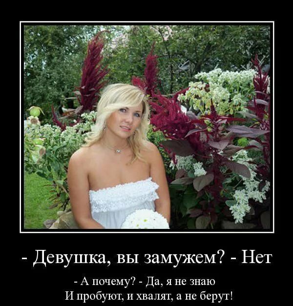 Девушка вы замужем Нет А почему Да я не знаю И пробуют и хвалят а не берут