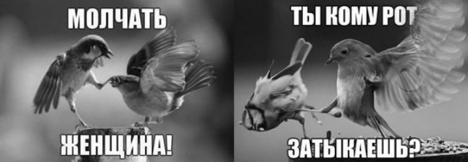 мопчптЕ