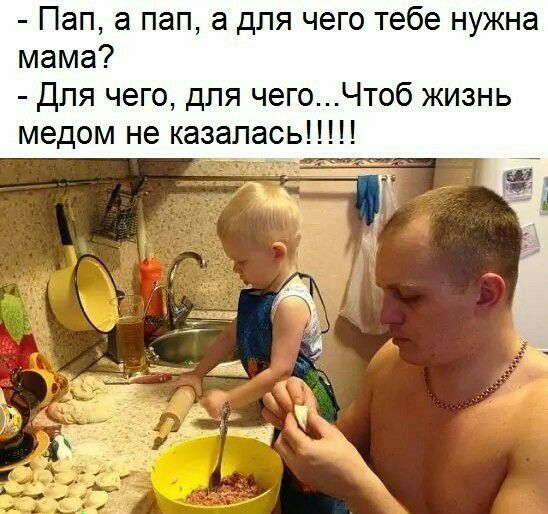 Пап а пап а для чего тебе нужна мама Для чего для чегоЧтоб жизнь медом не казаласьН