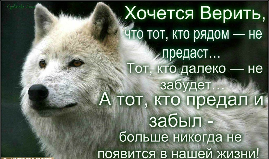 _Хочется Верить ТОТ КТО РЯДОМ не редаст юп далеко не шана _ в ю цехаш зао больше и да на иі появится в а гей жизни