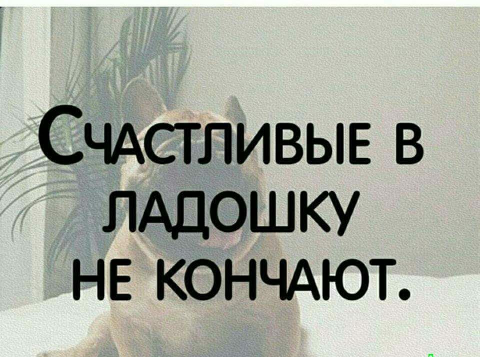 Счдстливыв в ЛАДОШКУ НЕ КОНЧАЮТ
