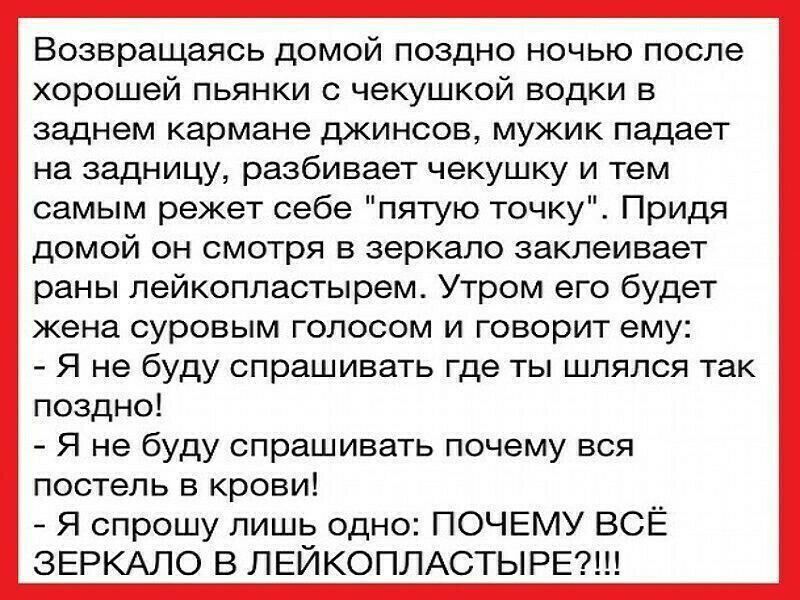 Возвращаясь домой поздно ночью после хорошей пьянки с чекушкой водки в заднем кармане джинсов мужик падает на задницу разбивает чекушку и тем самым режет себе пятую точку Придя домой он смотря в зеркало заклеивает раны лейкопластырем Утром его будет жена суровым голосом и говорит ему Я не буду спрашивать где ты шлялся так поздно Я не буду спрашивать почему вся постель в крови Я спрошу лишь одно ПО