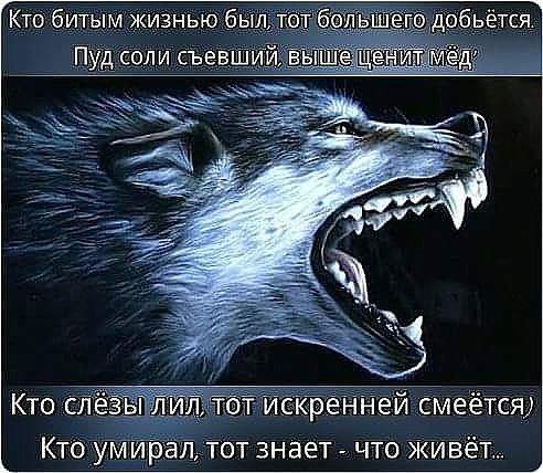Ктс битым жизнью бь Пуід Соли съев Кто сл Ы л _ей СмеётСЯ Кто ум р П тот знает что Живёт