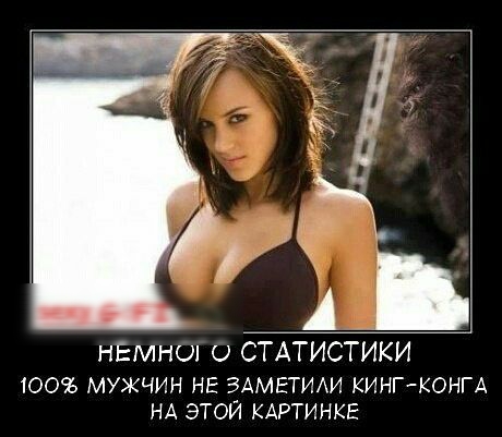 НЕМНЫ СТАТИСТИКИ 100 МУЖЧИН НЕ ЗАМЕТИАИ КИНГКОНГА НА ЭТОЙ КАРТИНКЕ