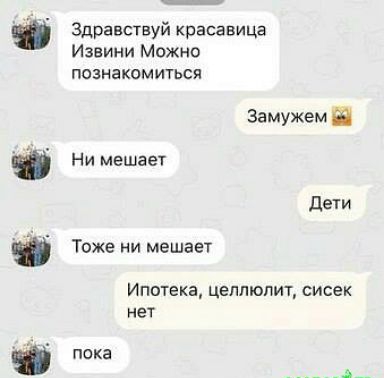 Здравствуй красавица Извини можно познакомиться замужем П Ни мешает дети Тоже ни мешает Ипотека целлюлит сисек нет пока