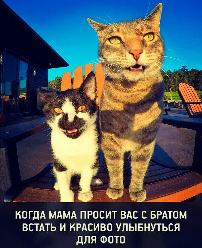 _ КОГДА МАМА ПРОСИТ ВАС С БРАТОМ ВСТАТЬ И КРАСИВО УЛЫБНУТЬСЯ ДЛЯ ФОТО