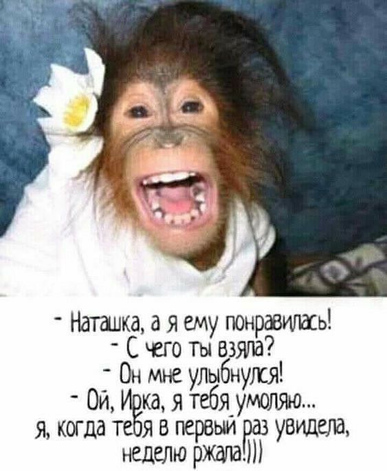 Наталка а я ему понравиікь С чего ты взяла ОиОн мне улыбнулся ка я т ебя я когда те я в первый уРаз увидав НЕДЕЛЮ рЖЫИШ