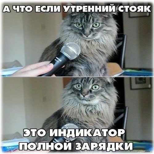 то если Ёгпнни стояк