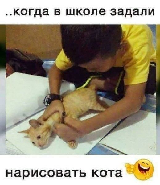 когда в школе задали нарисовать кота
