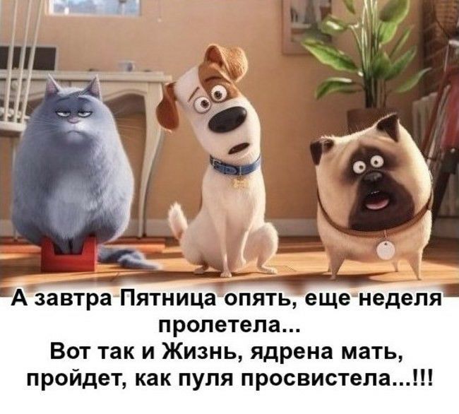 А завтра Пятница опять пролетела Вот так и Жизнь ядрена мать пройдет как пуля просвистела ещенеделя