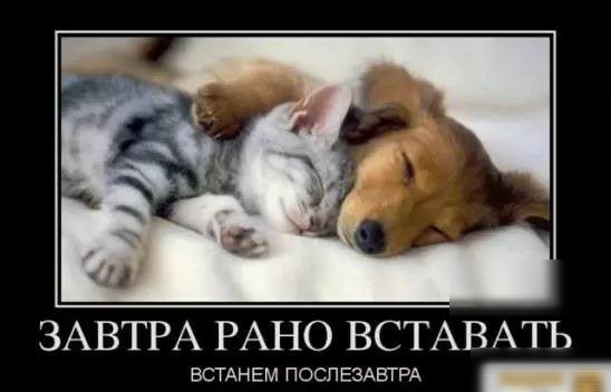 ЗАВТРА РАНО ВСТАВАТЬ ВСТАНЕМ ПОСПЕЗАВТРА _