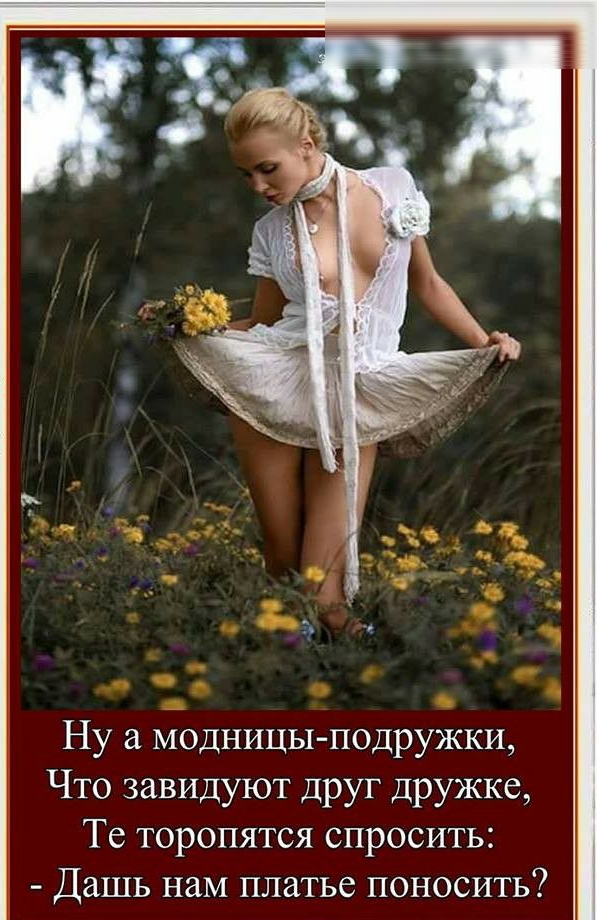 Ну а модницыподружки Что завидуют друг дружке Те торопятся спросить Дашь нам платье поносить