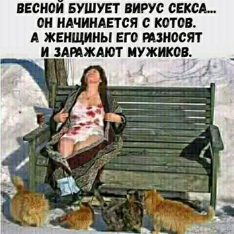 ВЕСНОИ БУШУЕТ ВИРУС СЕКСА 0Н НАЧИНАЕТСЯ С КОТОВ А ЖЕНЩИНЫ ЕГО МЗНОСЯТ И ЗАРАЖАЮТ МУЖИКОВ