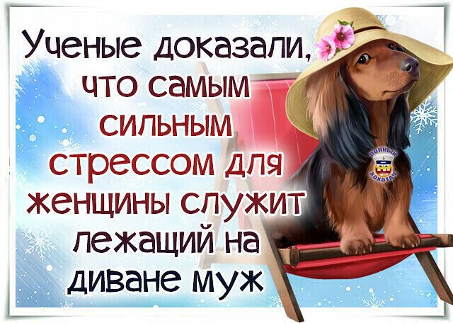 ъс _ Ученые доказали лежащий на диване муж